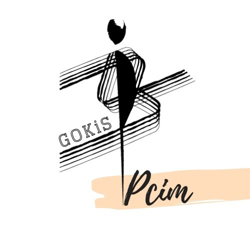 Logo GOKIS Pcim